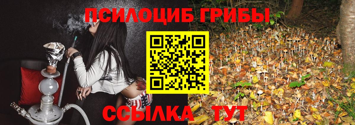 Псилоцибиновые грибы GOLDEN TEACHER Вольск