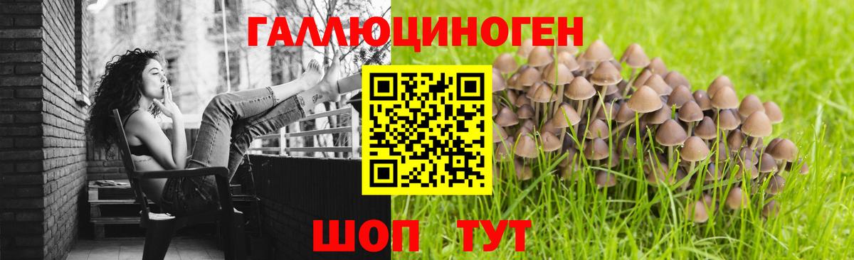 Галлюциногенные грибы Psilocybine cubensis  Вход с VPN  сколько стоит  Вольск  Псилоцибиновые грибы Cubensis 
